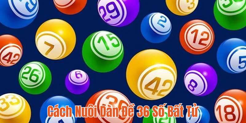 Bật Mí Cách Nuôi Dàn Đề 36 Số Bất Tử Chuẩn Nhất Hôm Nay